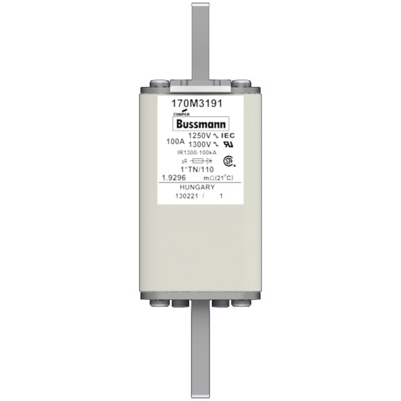 170M3191 Быстрый предохранитель 100A 1250V 1*TN/110 AR CU