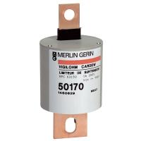 Schneider Electric 50170 РАЗРЯДНИК 250В АС