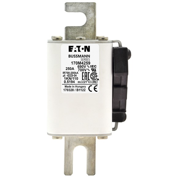 170M4259 Быстрый предохранитель 250A 690V 1KN/110 AR UC