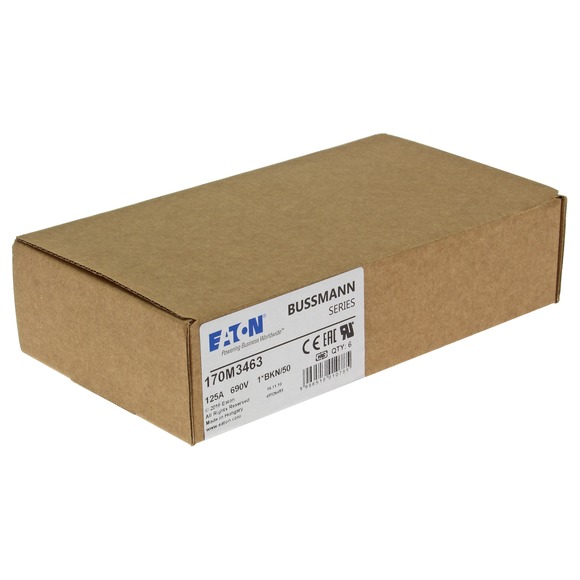 170M3463 Быстрый предохранитель 125A 690V 1*BKN/50 AR UC