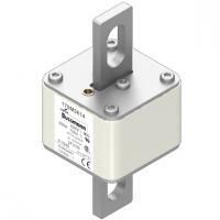 170M5614 Быстрый предохранитель 800A 690V 2FU/90 AR UC