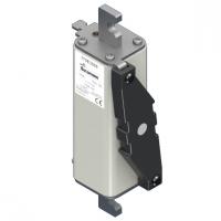 170E3585 Быстрый предохранитель 100A 750V 1*EK/155 GDC DC