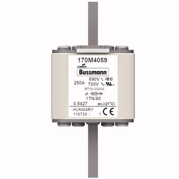 170M4059 Быстрый предохранитель 250A 690V 1TN/80 AR UC