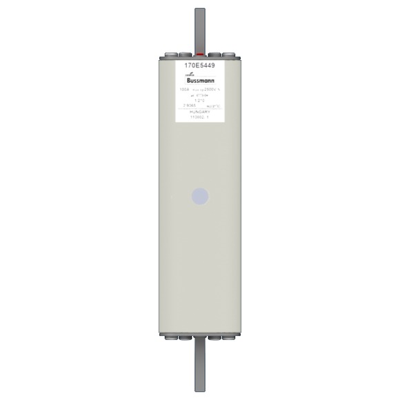 170E5449 Быстрый предохранитель 100A 2500V 1/210 AR