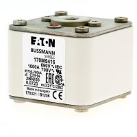 170M5416 Быстрый предохранитель 1000A 690V 2BN/50 AR UC