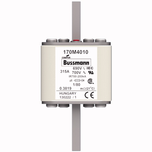 170M4010 Быстрый предохранитель 315A 690V 1/80 AR UC