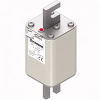 170M4988 Быстрый предохранитель 550A 1000V 1TN/110 AR