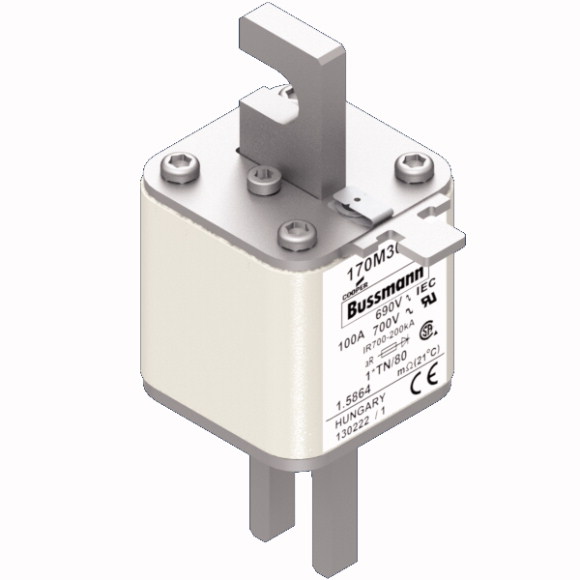 170M3062 Быстрый предохранитель 100A 690V 1*TN/80 AR UC