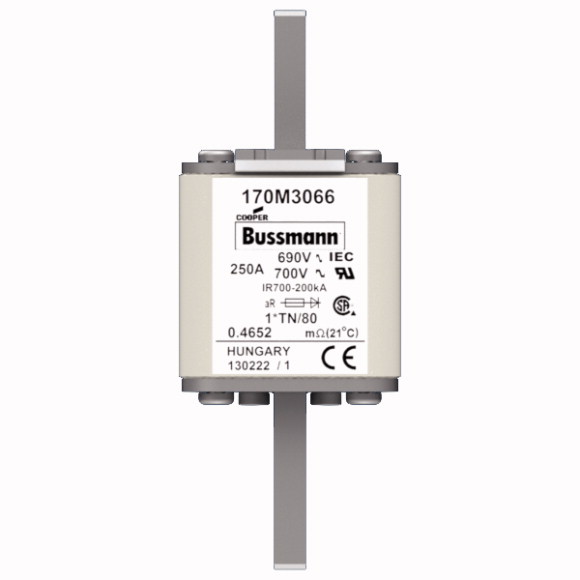 170M3066 Быстрый предохранитель 250A 690V 1*TN/80 AR UC