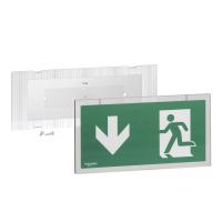 Schneider Electric OVA53139 акс Vetrosignal пикт iso прямо прямо