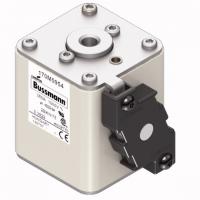 170M5954 Быстрый предохранитель 350A 1000V 2BKN/75 AR UR