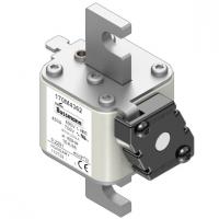 170M4362 Быстрый предохранитель 400A 690V 1EK/86 AR UC