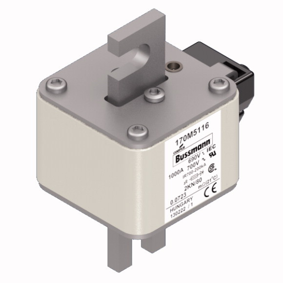 170M5116 Быстрый предохранитель 1000A 690V 2KN/80 AR UC