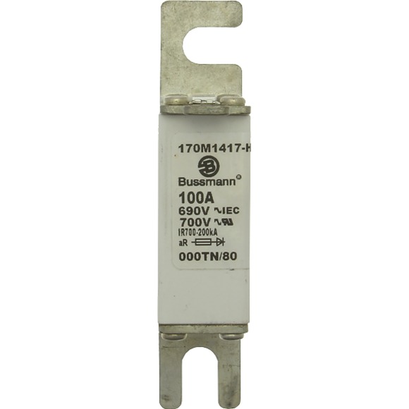 170M1417-H Быстрый предохранитель 100A 690V 000TN/80 AR