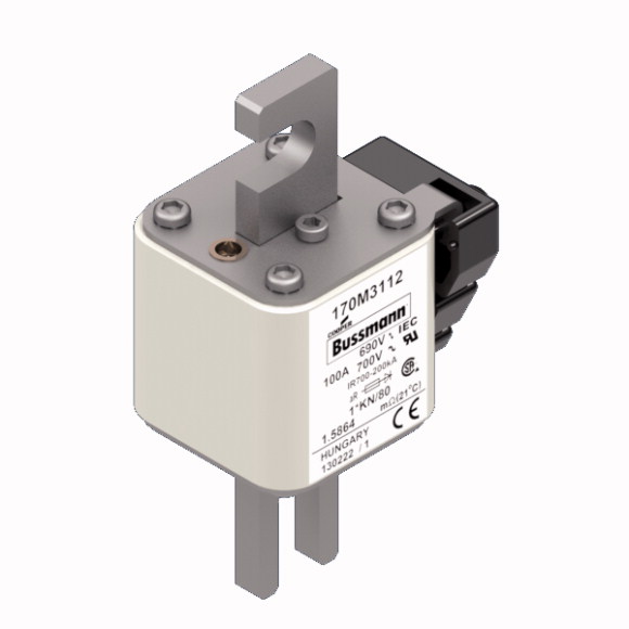 170M3112 Быстрый предохранитель 100A 690V 1*KN/80 AR UC