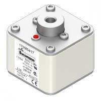 170M5417 Быстрый предохранитель 1100A 600V 2B/65 AR UC