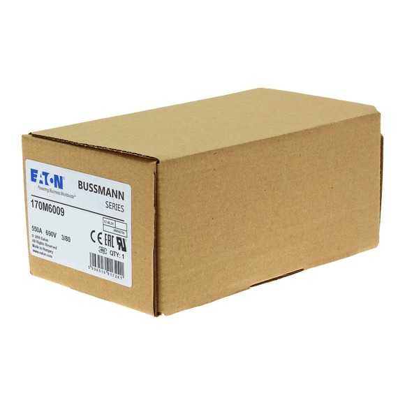 170M6009 Быстрый предохранитель 550A 690V 3/80 AR UC