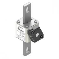 170M3766 Быстрый предохранитель 250A 690V 1*FKE/115 AR UC