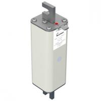 170E5399 Быстрый предохранитель 100A 1600V 1TN/170 AR