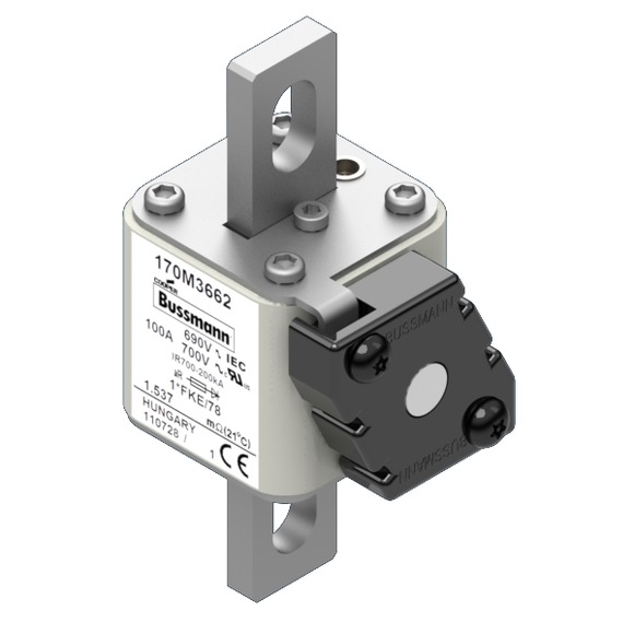 170M3662 Быстрый предохранитель 100A 690V 1*FKE/78 AR UC