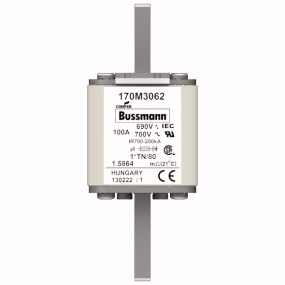 170M3062 Быстрый предохранитель 100A 690V 1*TN/80 AR UC