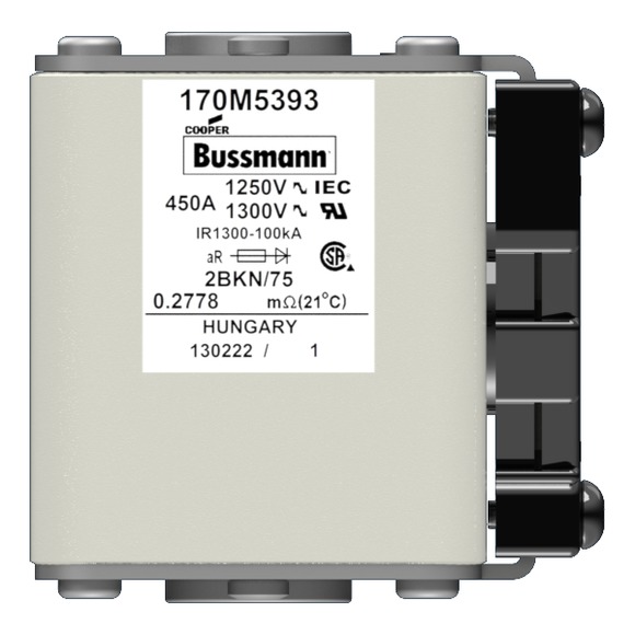 170M5393 Быстрый предохранитель 450A 1250V 2BKN/75 AR CU