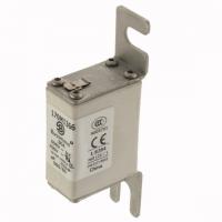 170M1366 Быстрый предохранитель 80A 690V 000/80 AR UC