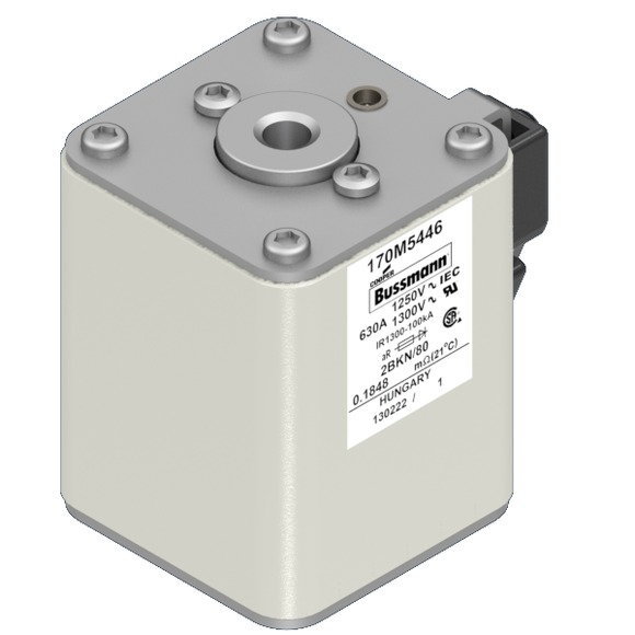 170M5446 Быстрый предохранитель 630A 1250V 2BKN/80 AR CU