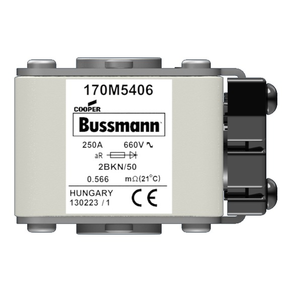170M5406 Быстрый предохранитель 250A 660V 2BKN/50 AR