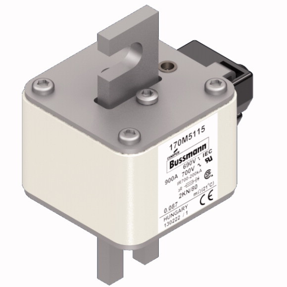 170M5115 Быстрый предохранитель 900A 690V 2KN/80 AR UC