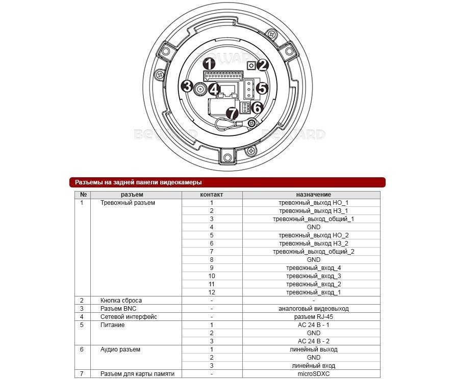 Beward BD137P
