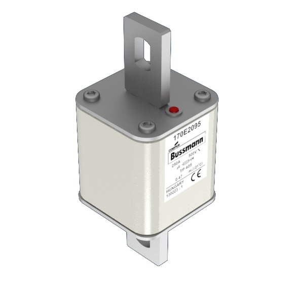 170E2095 Быстрый предохранитель 250A 500V TP 405 AR