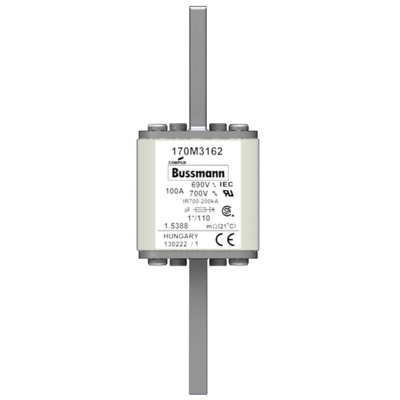 170M3162 Быстрый предохранитель 100A 690V 1*/110 AR UC