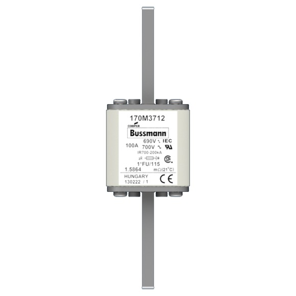 170M3712 Быстрый предохранитель 100A 690V 1*FU/115 AR UC