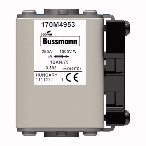 170M4953 Быстрый предохранитель 250A 1000V 1BKN/75 AR