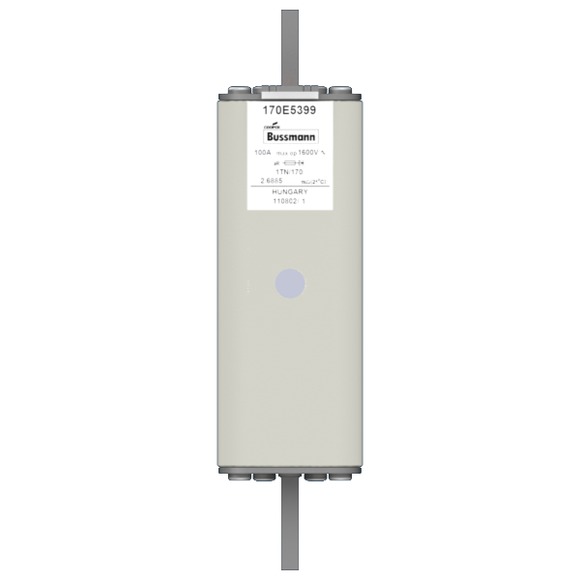 170E5399 Быстрый предохранитель 100A 1600V 1TN/170 AR