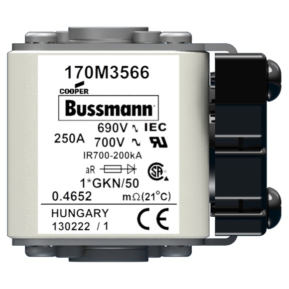 170M3566 Быстрый предохранитель 250A 690V 1*GKN/50 AR UC