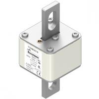 170M5610 Быстрый предохранитель 500A 690V 2FU/90 AR UC