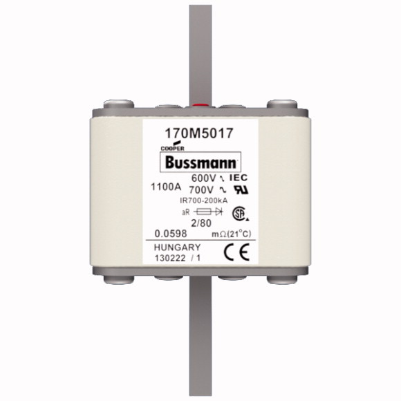 170M5017 Быстрый предохранитель 1100A 600V 2/80 AR UC
