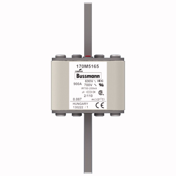 170M5165 Быстрый предохранитель 900A 690V 2/110 AR UC