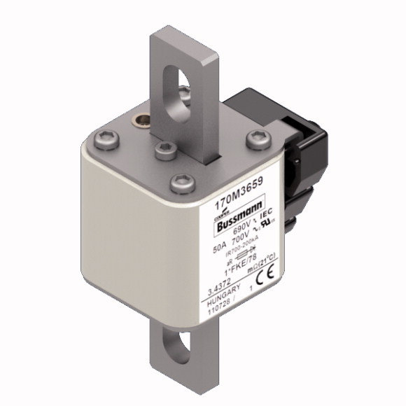 170M3659 Быстрый предохранитель 50A 690V 1*FKE/78 AR UC