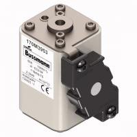 170M3953 Быстрый предохранитель 80A 1000V 1*BKN/75 AR
