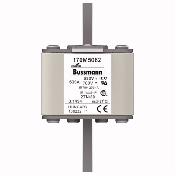 170M5062 Быстрый предохранитель 630A 690V 2TN/80 AR UC