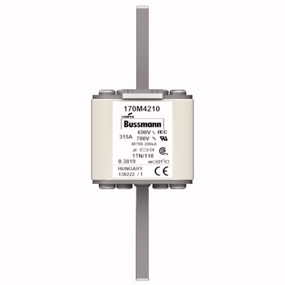 170M4210 Быстрый предохранитель 315A 690V 1TN/110 AR UC