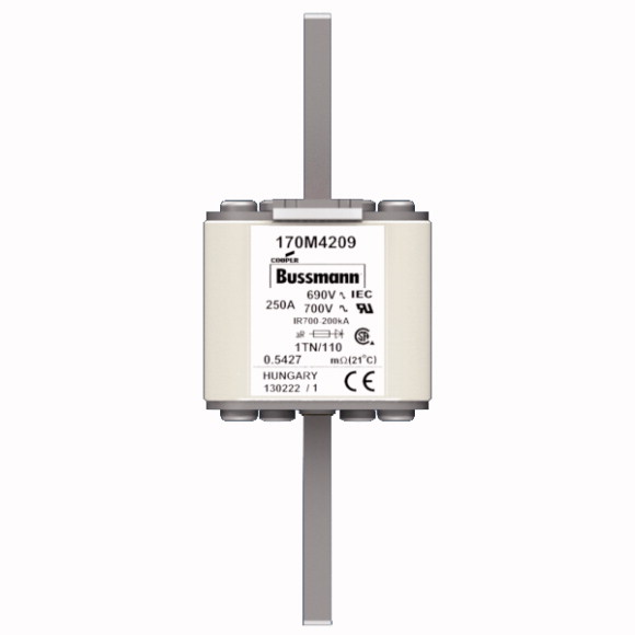 170M4209 Быстрый предохранитель 250A 690V 1TN/110 AR UC