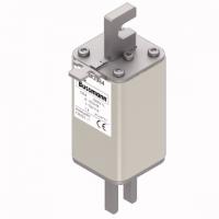 170M3984 Быстрый предохранитель 100A 1000V 1*TN/110 AR