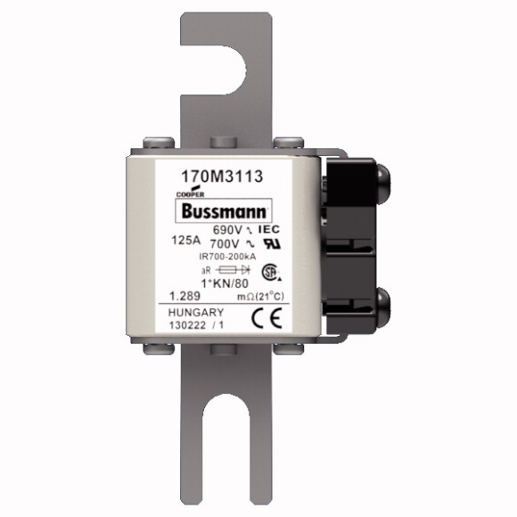 170M3113 Быстрый предохранитель 125A 690V 1*KN/80 AR UC